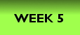 WEEK FIVE